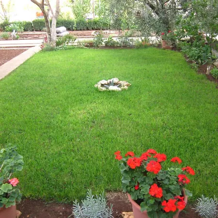 Lejlighed Mactra