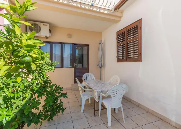 Mactra * ביוגראד נה מורו