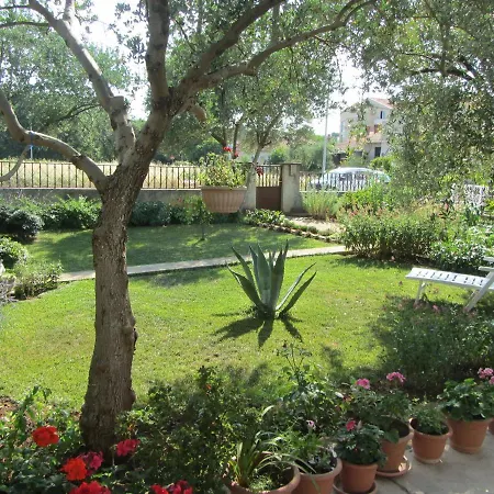 Mactra Biograd Na Moru