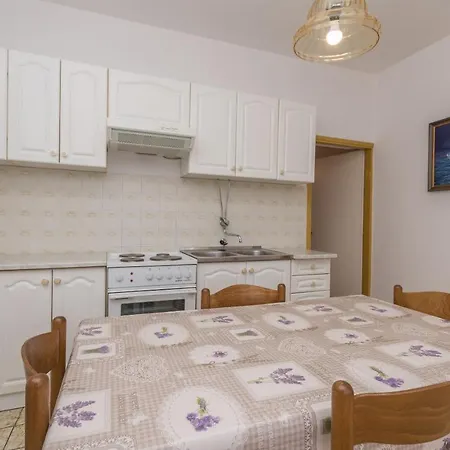 Mactra Daire Biograd Na Moru