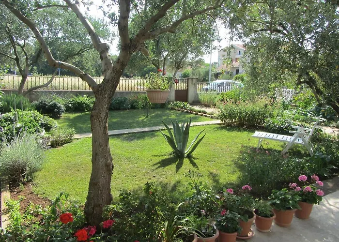 Mactra Biograd Na Moru