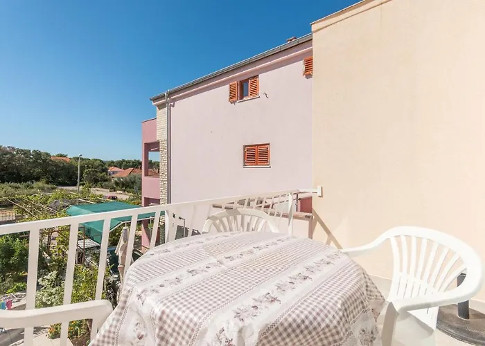 Mactra * Biograd Na Moru